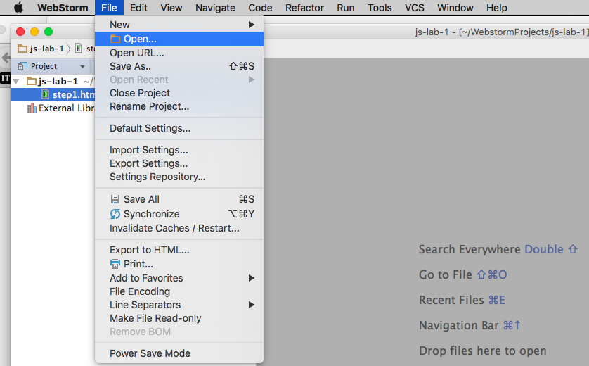 Figure 5: File may be opened by double click on file name in left navigation pane or from menu File | Open